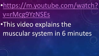•https://m.youtube.com/watch?
v=rMcg9YzNSEs
•This video explains the
muscular system in 6 minutes
 