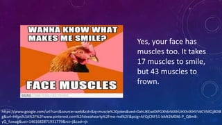 https://www.google.com/url?sa=i&source=web&cd=&q=muscle%20jokes&ved=0ahUKEwi0tPGXh6rMAhUHXh4KHVVdCVMQjB0IB
g&url=https%3A%2F%2Fwww.pinterest.com%2Fdeeahearty%2Fme-md%2F&psig=AFQjCNF51-bMt2M0X6-P_QBmB-
yQ_fuwag&ust=1461682871931779&rct=j&cad=rjt
Yes, your face has
muscles too. It takes
17 muscles to smile,
but 43 muscles to
frown.
 