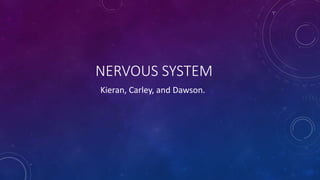 NERVOUS SYSTEM
Kieran, Carley, and Dawson.
 