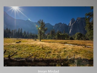 Barbara Stewart Memorial Scholarship - FALL 2023