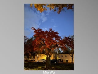 Barbara Stewart Memorial Scholarship - FALL 2023