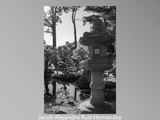 Barbara Stewart Memorial Scholarship - FALL 2023