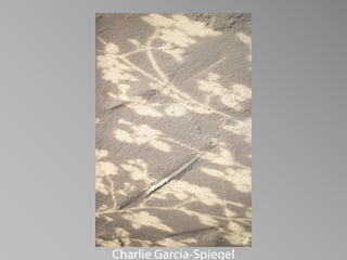 Barbara Stewart Memorial Scholarship - FALL 2023