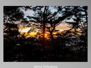 Barbara Stewart Memorial Scholarship - FALL 2023