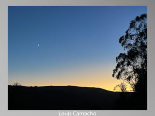 Barbara Stewart Memorial Scholarship - FALL 2023