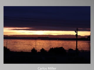 Barbara Stewart Memorial Scholarship - FALL 2023