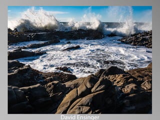 Barbara Stewart Memorial Scholarship - FALL 2023