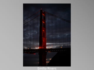 Barbara Stewart Memorial Scholarship - FALL 2023