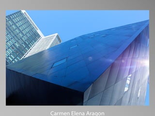 Barbara Stewart Memorial Scholarship - FALL 2023