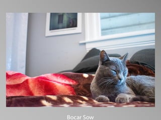 Barbara Stewart Memorial Scholarship - FALL 2023