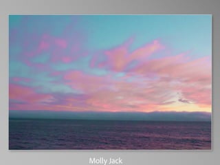 Barbara Stewart Memorial Scholarship - FALL 2023