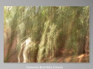 Barbara Stewart Memorial Scholarship - FALL 2023