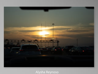 Barbara Stewart Memorial Scholarship - FALL 2023