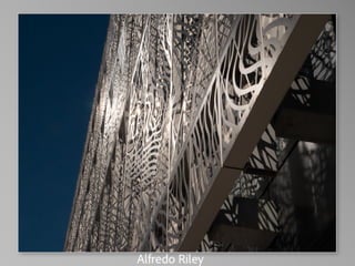 Barbara Stewart Memorial Scholarship - FALL 2023