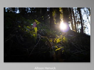 Barbara Stewart Memorial Scholarship - FALL 2023