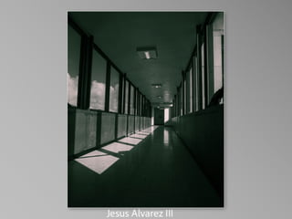 Barbara Stewart Memorial Scholarship - FALL 2023