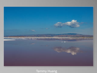 Barbara Stewart Memorial Scholarship - FALL 2023