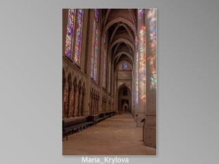 Barbara Stewart Memorial Scholarship - FALL 2023