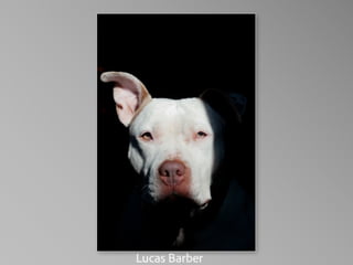 Barbara Stewart Memorial Scholarship - FALL 2023