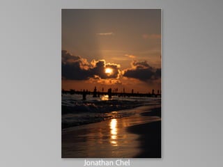 Barbara Stewart Memorial Scholarship - FALL 2023