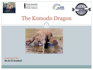 The Komodo Dragon
Presented By :
BLALTI Souhail
1
 
