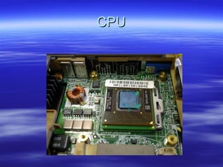CPU 