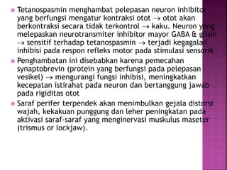  Tetanospasmin menghambat pelepasan neuron inhibitor
yang berfungsi mengatur kontraksi otot  otot akan
berkontraksi secara tidak terkontrol  kaku. Neuron yang
melepaskan neurotransmiter inhibitor mayor GABA & glisin
 sensitif terhadap tetanospasmin  terjadi kegagalan
inhibisi pada respon refleks motor pada stimulasi sensorik
 Penghambatan ini disebabkan karena pemecahan
synaptobrevin (protein yang berfungsi pada pelepasan
vesikel)  mengurangi fungsi inhibisi, meningkatkan
kecepatan istirahat pada neuron dan bertanggung jawab
pada rigiditas otot
 Saraf perifer terpendek akan menimbulkan gejala distorsi
wajah, kekakuan punggung dan leher peningkatan pada
aktivasi saraf-saraf yang menginervasi muskulus maseter
(trismus or lockjaw).
 