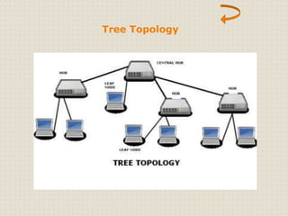 Tree Topology 
 