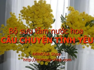 Bộ sưu tầm nước hoa  CÂU CHUYỆN TÌNH YÊU MIMOSA Shop  http://mimosa-shop.com 