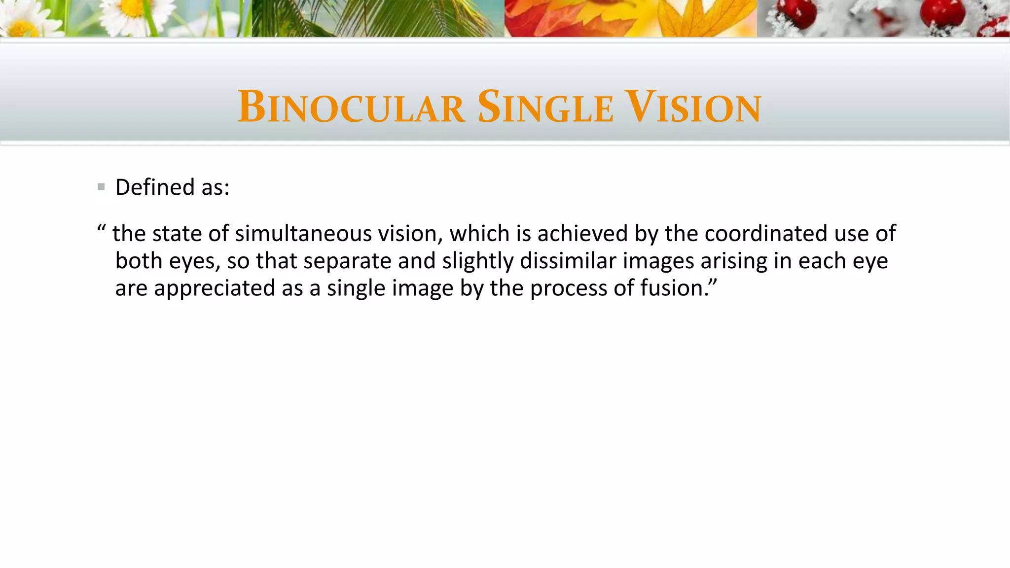 Binocular Single Vision Tests PPT