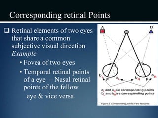 Corresponding retinal Points
 Retinal elements of two eyes
that share a common
subjective visual direction
Example
• Fovea of two eyes
• Temporal retinal points
of a eye – Nasal retinal
points of the fellow
eye & vice versa
 