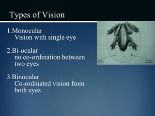 Types of Vision
1.Monocular
Vision with single eye
2.Bi-ocular
no co-ordination between
two eyes
3.Binocular
Co-ordinated vision from
both eyes
 