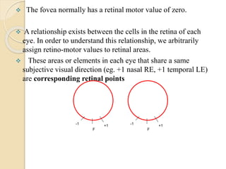  The fovea normally has a retinal motor value of zero.
 A relationship exists between the cells in the retina of each
eye. In order to understand this relationship, we arbitrarily
assign retino-motor values to retinal areas.
 These areas or elements in each eye that share a same
subjective visual direction (eg. +1 nasal RE, +1 temporal LE)
are corresponding retinal points
F
+1
-1
F
+1
-1
 