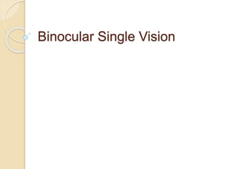 Binocular Single Vision
 