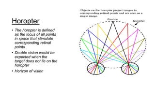 Horopter
• The horopter is defined
as the locus of all points
in space that stimulate
corresponding retinal
points
• Double vision would be
expected when the
target does not lie on the
horopter
• Horizon of vision
 
