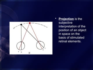 binocular single vision in humans in detail | PPTX