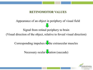 RETINOMOTOR VALUES
Appearance of an object in periphery of visual field
Signal from retinal periphery to brain
(Visual direction of the object, relative to foveal visual direction)
Corresponding impulses to the extraocular muscles
Necessary ocular rotation (saccade)
 