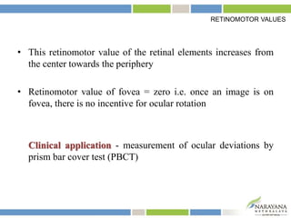 • This retinomotor value of the retinal elements increases from
the center towards the periphery
• Retinomotor value of fovea = zero i.e. once an image is on
fovea, there is no incentive for ocular rotation
Clinical application - measurement of ocular deviations by
prism bar cover test (PBCT)
RETINOMOTOR VALUES
 