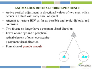 ANOMALOUS RETINAL CORRESPONDENCE
• Active cortical adjustment in directional values of two eyes which
occurs in a child with early onset of squint
• Attempt to restore BSV as far as possible and avoid diplopia and
confusion
• Two foveae no longer have a common visual direction
• Fovea of one eye and a peripheral
retinal element of other eye acquire
a common visual direction
• Formation of pseudo macula
 