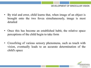• By trial and error, child learns that, when image of an object is
brought onto the two fovea simultaneously, image is most
detailed
• Once this has become an established habit, the relative space
perceptions of the child begin to take form
• Crossfiring of various sensory phenomena, such as touch with
vision, eventually leads to an accurate determination of the
child's space
DEVELOPMENT OF BINOCULAR VISION
 