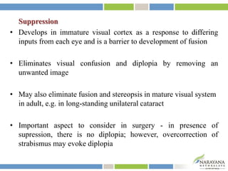 Suppression
• Develops in immature visual cortex as a response to differing
inputs from each eye and is a barrier to development of fusion
• Eliminates visual confusion and diplopia by removing an
unwanted image
• May also eliminate fusion and stereopsis in mature visual system
in adult, e.g. in long-standing unilateral cataract
• Important aspect to consider in surgery - in presence of
supression, there is no diplopia; however, overcorrection of
strabismus may evoke diplopia
 