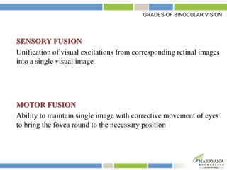 SENSORY FUSION
Unification of visual excitations from corresponding retinal images
into a single visual image
MOTOR FUSION
Ability to maintain single image with corrective movement of eyes
to bring the fovea round to the necessary position
GRADES OF BINOCULAR VISION
 