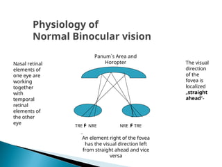 Physiology of
Normal Binocular vision
Panum`s Area and
Horopter
TRE F NRE NRE F TRE
Nasal retinal
elements of
one eye are
working
together
with
temporal
retinal
elements of
the other
eye
The visual
direction
of the
fovea is
localized
„straight
ahead“-
An element right of the fovea
has the visual direction left
from straight ahead and vice
versa
 