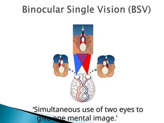 ‘Simultaneous use of two eyes to
give one mental image.’
 
