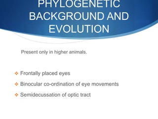 PHYLOGENETIC
BACKGROUND AND
EVOLUTION
Present only in higher animals.
 Frontally placed eyes
 Binocular co-ordination of eye movements
 Semidecussation of optic tract
 