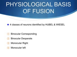 PHYSIOLOGICAL BASIS
OF FUSION
 4 classes of neurons identified by HUBEL & WIESEL
① Binocular Corresponding
② Binocular Desperate
③ Monocular Right
④ Monocular left
 