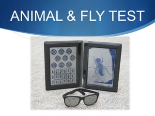 ANIMAL & FLY TEST
 