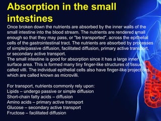 Absorption in the small
intestines
Once broken down the nutrients are absorbed by the inner walls of the
small intestine into the blood stream. The nutrients are rendered small
enough so that they may pass, or "be transported", across the epithelial
cells of the gastrointestinal tract. The nutrients are absorbed by processes
of simple/passive diffusion, facilitated diffusion, primary active transport,
or secondary active transport.
The small intestine is good for absorption since it has a large inner
surface area. This is formed many tiny finger-like structures of tissue
called villi. The individual epithelial cells also have finger-like projections,
which are called known as microvilli.
For transport, nutrients commonly rely upon:
Lipids – undergo passive or simple diffusion
Short-chain fatty acids – diffusion
Amino acids – primary active transport
Glucose – secondary active transport
Fructose – facilitated diffusion
 