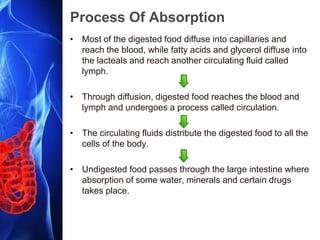 Process Of Absorption
• Most of the digested food diffuse into capillaries and
reach the blood, while fatty acids and glycerol diffuse into
the lacteals and reach another circulating fluid called
lymph.
• Through diffusion, digested food reaches the blood and
lymph and undergoes a process called circulation.
• The circulating fluids distribute the digested food to all the
cells of the body.
• Undigested food passes through the large intestine where
absorption of some water, minerals and certain drugs
takes place.
 