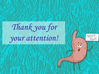 Human Digestive Anatomy 